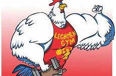 chicken muscular muscles weights flexing leghorn leading roll local holding his fitness weightlifting