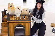 sssniperwolf dogs pets her house videos ash lumpy everything need know openly expresses pomeranian loves animals she has building