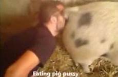 man animals pig pussy eating videos zoo tube