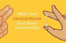 mucus cervical chart when know fertile yellow sign pregnancy pregnant get natural does fertility re tell lot use check phase