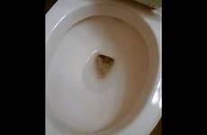 toilet clogged feces excrement unclog unblock