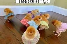 chicks young meme short funny skirts imgflip