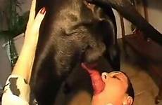 chienne tube zootube1