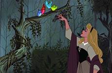 aurora disney princess forest sleeping beauty fanpop movie 1959