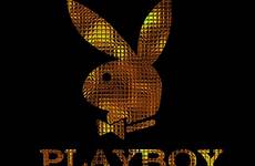 playboy fim 2897 hintergrundbilder kaninchen