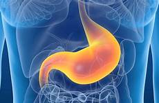estomac gastritis medically estómago digestion bacteria coli escherichia painful isaac gástrica askthescientists fonctions