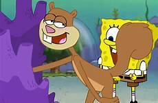 spongebob sandy cheeks sex squarepants xxx nickelodeon squirrel rule34 gif 34 rule animated character rodent respond edit