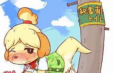 animal crossing furry peeing isabelle pussy dog anthro female xxx solo interactive omorashi rule edit respond deletion flag options request