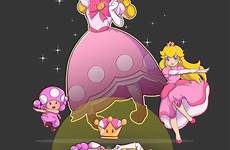 peachette toadette mario peach super princess bros zerochan