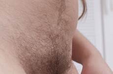 hairy belly bushes hirsute