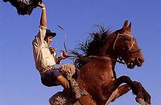 horse cowboy horses yee haw riding mobile picture cowboys bucking race real yeehaw semen want know wallpaper pc criollo zealanders