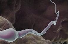 sperm donor children fear bbc most science there men their claims fathered copyright library health