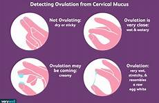 mucus cervical ovulation checking