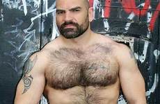 hairy daddy chested beard