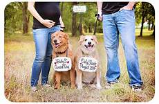 dog pregnancy maternity human choose board baby