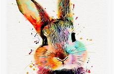 kaninchen conejo produktbeschreibung acuarela aquarell arbeit von conejos