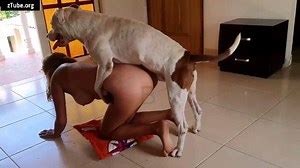 300px x 168px - Alison Zoo Porno Angel Threesome Dog Slut Zootube Videos