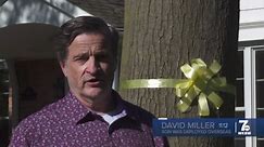 Yellow ribbons hug trees in Snyder neighborhood for hometown hero