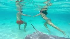 Underwater - Adult couple swimming with sharks and manta rays in shallow water in Bora Bora