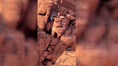 Video captures moment unruly visitors damage ancient rock formations