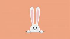 Cute bunny looks out of a hole. 4k video animated