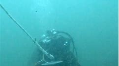 Our dive team capped off the spring field dive season with ODFW at Cape Falcon Marine Reserve! The OCAq dive team supports offshore research by conducting surveys, testing technology, and deploying equipment. 🤿 📹: video courtesy of Aquarist/Diver Abby #diving #marineresearch #gooddivesonly #goodvibesonly #oregoncoast #oregoncoastaquarium | Oregon Coast Aquarium