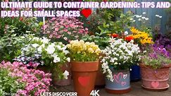 "Ultimate Guide to Container Gardening: Tips and Ideas for Small Spaces" Every Gardener Should Know