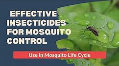 Mosquito Control Methods: Natural Repellents & Effective Insecticides