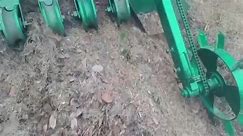 Pedaver - Wheat sowing with no till precision planter on...