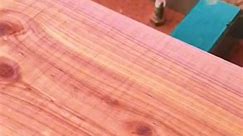 Cedar framing lumber 3x8x10 @Woodland Mills hm122 7hp milling lumber on the portable bandsaw #sawyer #lumber #satisfying #woodlandmillshm1227hp #bandsawmill #majorpixsaws #milling #easternredcedar #logstolumber #woodlandmillshm1227hp #majorpixripper37 #norwoodpm14 #majorpixbeastsaw #farmmac660vw | majorpixx
