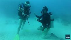 Man Proposes to Girlfriend During Underwater Dive