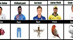 Most Funny And Weird Names Of Cricketers Part 2.