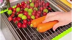 Roll Up Dish Drying Rack Sink Drying Rack Link in bio