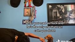 Funny video of a singing Chihuahua calming you down | #foryou #real