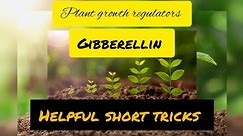 Plant growth regulators | Gibberellin