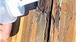 Repairing rotted wood with Abatron wood epox and liquid wood epoxy #woodrestoration #abatronwoodepox #epox #diy | Griffin Painting And Home Improvement LLC