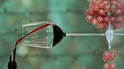 Pouring rose wine from a bottle into glass on table with pink grapes. Grape harvest. Wine tasting culture. Sommelier pouring dessert wine in glass. Winery filling red wine glass outdoors slow motion