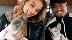 Terrence J And Girlfriend Jasmine Sanders Take Their Puppies To the Beach And It's Everything | Essence