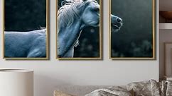 Designart "White Arabian Stallion Galloping Across A Meadow" Traditional Framed Wall Art Set of 3 - 4 Colors of Frames - Bed Bath & Beyond - 36125585