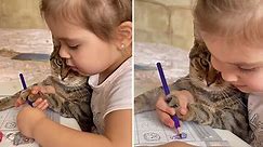 Little girl adorably teaches her cat how to draw