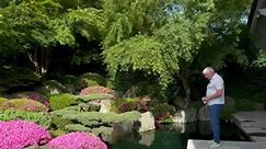 Jürgen Kirchner füttert seine Traumkoi im Privatgarten😍🌳 #Konishi#KonishiKoi#KonishiEurope#Koi#KoiFarm#Teich#Pond#japangarden | Konishi Europe GmbH