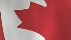 Waving Flag of Canada, Vertical Fill Video, 4K Animated Background. National Canadian Flag Flowing Cloth Motion Graphics, Seamless Loop for Backgrounds, Social Media and Screens