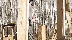 largest shed workshop made from cut logs, fashioned in the woods with hand tools