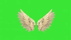 golden feather real angel wings, loops, fantasy fairy wings with a green screen, pair of bird angel wings