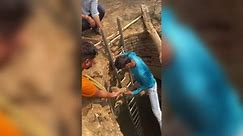 India: Bull rescued after it fell into open well