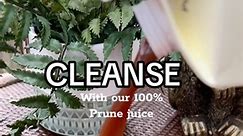 Cleanse with our 100% Prune Juice🌿🥤 #prunejuice #prune #cleanse #benefitbrand #benefitjuices #vitamins #wellbeing #health #juices #juiceswithbenefits | The Benefit Brand