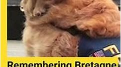 Remembering Bretagne - One of The Hero Dogs of 9/11