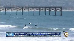 UPDATE: Dead naked surfer with apparent shark attack wounds washes up near San Diego beach #SurfReport - Surf Blog | Surfing New | Surf News | SurfTweeters