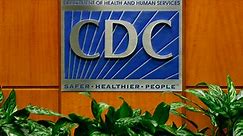CDC Issues Health Alert for Bird Flu Infection Following Recent US Case