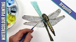 Dragonfly in Watercolour with Paul Hopkinson